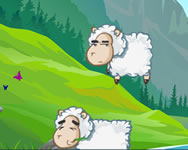Sheep stacking