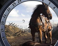 War horse find the numbers online
